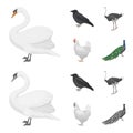 Crow, ostrich, chicken, peacock. Birds set collection icons in cartoon,monochrome style vector symbol stock illustration Royalty Free Stock Photo