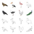 Crow, ostrich, chicken, peacock. Birds set collection icons in cartoon,outline style vector symbol stock illustration Royalty Free Stock Photo