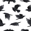 Crow pattern. Seamless print of black flying ravens, rook silhouette background for fabric wrapping paper textile design Royalty Free Stock Photo