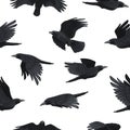 Crow pattern. Seamless print of black flying ravens, rook silhouette background for fabric wrapping paper textile design. Vector