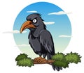 Crow perching on tree branch in cartoon style Royalty Free Stock Photo