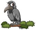 Crow perching on tree branch in cartoon style Royalty Free Stock Photo