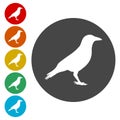 Crow Raven vector silhouette icon Royalty Free Stock Photo