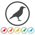 Crow Raven vector silhouette icon Royalty Free Stock Photo