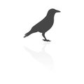 Crow Raven vector silhouette icon Royalty Free Stock Photo
