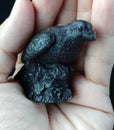 Crow Raven wax candle black magic hand