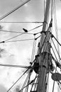 Mast and rigging on tall ship