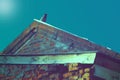 Crow on the roof at midnight guarding