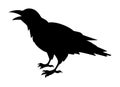 Crow Silhouette. Raven silhouette. Halloween sticker. Cartoon illustration