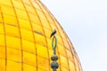 A crow sits on a Muslim symbol at the top of Dome of the Chain, against the backdrop of the Dome of the Rock on the Temple Mount
