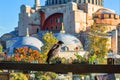 Crow sittiing on the rail in front of Hagia Sophia museum in Istanbul, Turkey. Selective focus, blurred background