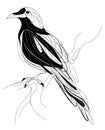 A crow sitting on a branch. Stylized magpie on a tree. Black and white crow. Linear Art. Tattoo. Vector illustration. Royalty Free Stock Photo