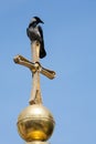 Crow sitting on cross