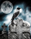 Crow sitting on a gravestone in moonlight at cemetery Royalty Free Stock Photo