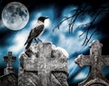 Crow sitting on a gravestone in moonlight at cemetery Royalty Free Stock Photo