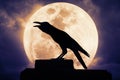 Crow sitting on the rock and croaks against full moon