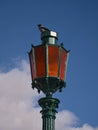 A crow sitting on the street light over blue sky