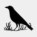 crow sitting vector silhouette isolated