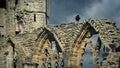 Crow Squawks On Abbey Ruins