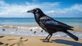 Accurate Bird Specimens: A Crow On The Beach With Alchemical Symbolism