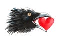 Crow with a stolen heart