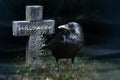 Crow and stone cross on the graveyard at night, halloween Royalty Free Stock Photo