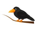 Crow on a tree branch Royalty Free Stock Photo