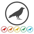 Crow vector illustration design, Crow circle silhouette Royalty Free Stock Photo