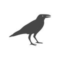 Crow vector illustration design, Crow silhouette Royalty Free Stock Photo