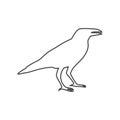 Crow vector illustration design, Crow silhouette Royalty Free Stock Photo
