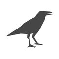 Crow vector illustration design, Crow silhouette Royalty Free Stock Photo