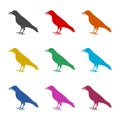 Crow vector illustration design icon, Crow silhouette, color icons set Royalty Free Stock Photo