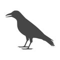 Crow vector illustration design, Crow silhouette Royalty Free Stock Photo