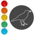 Crow vector illustration design, Crow silhouette Royalty Free Stock Photo