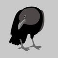 crow vector illustration style flat side