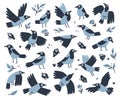 Set with vector birds. Grey crows Royalty Free Stock Photo