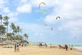 Crowd of active sporty people enjoying kitesurfing holidays and activities on perfect sunny day on Cabarete tropical