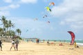 Crowd of active sporty people enjoying kitesurfing holidays and activities on perfect sunny day on Cabarete tropical