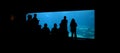 Crowd at aquarium