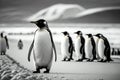 crowd of arctic penguins Generative AI