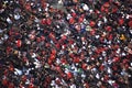 Crowd Celebrates at Chicago Blackhawks' Parade