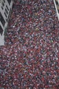 Crowd Celebrates at Chicago Blackhawks' Parade Royalty Free Stock Photo