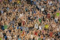 Crowd Cheering in an event