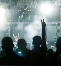 Crowd at concert Royalty Free Stock Photo