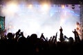 Crowd at concert Royalty Free Stock Photo