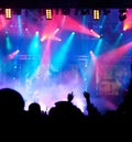 Crowd at concert Royalty Free Stock Photo