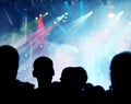 Crowd at concert Royalty Free Stock Photo