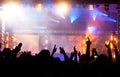 Crowd at concert Royalty Free Stock Photo