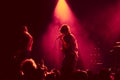 Crowd in a concert at Sant Jordi Club stageIceage punk rock band in concert at Apolo stage Primavera Sound 2015 Festival PS15 Royalty Free Stock Photo