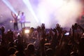 crowd at concert - summer music festival Royalty Free Stock Photo